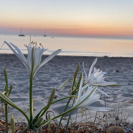 Residence Abba Urci Tertenìa Buitenkant foto